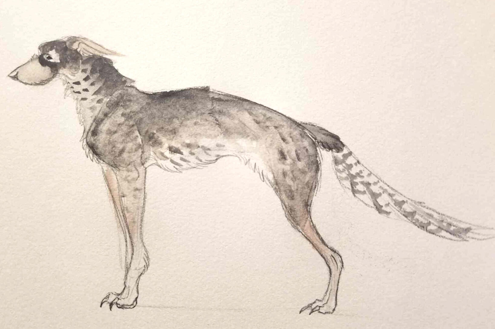 Hound Concept: Dangerous Territory