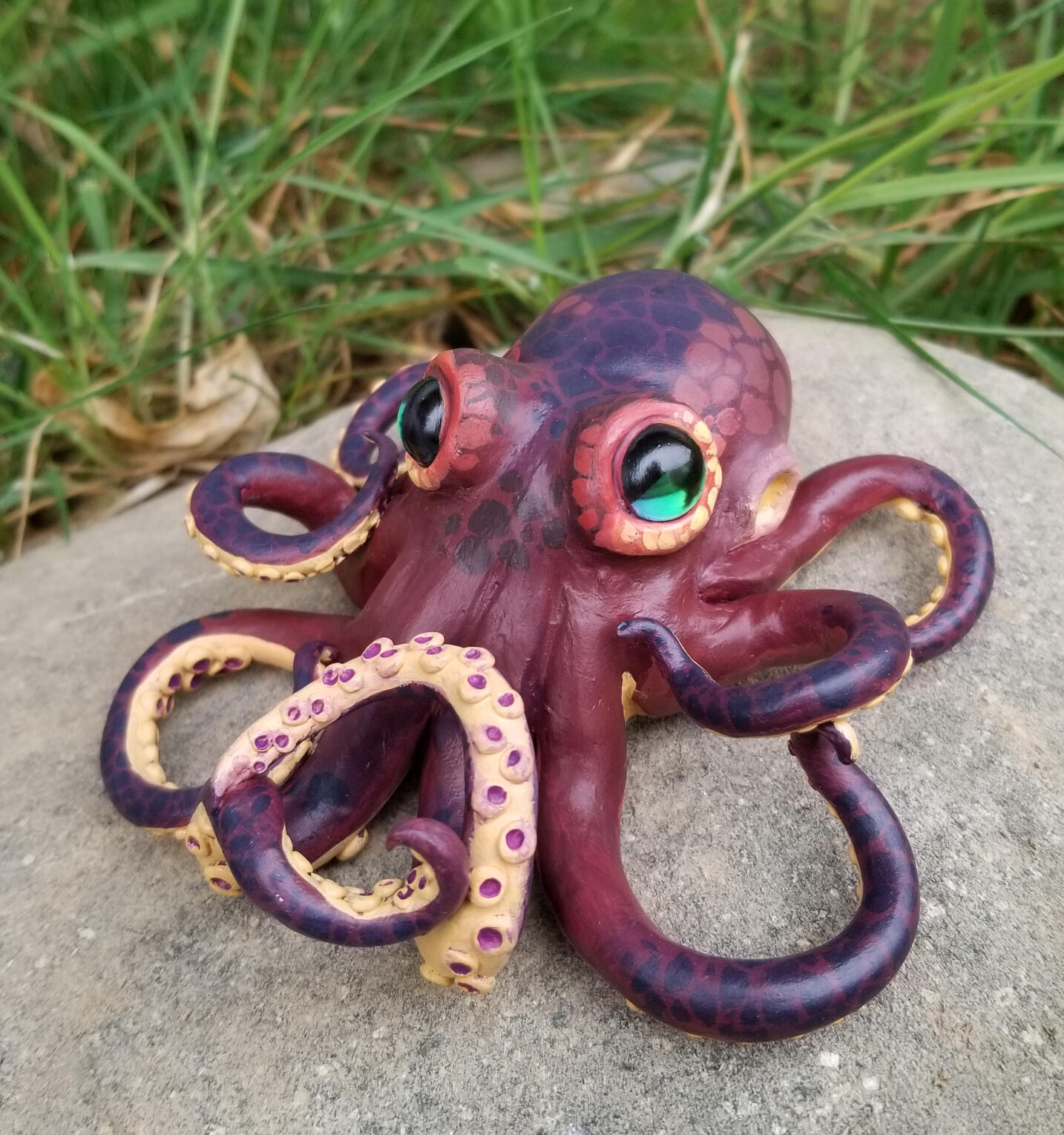 Steve: The First Octopus