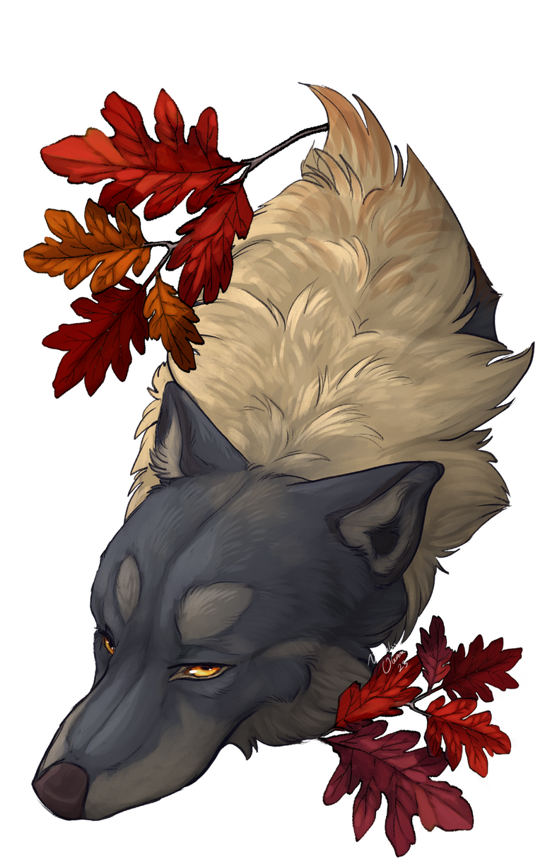 Maple Wolf